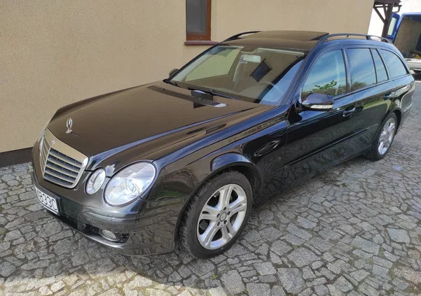mercedes benz klasa e Mercedes-Benz Klasa E cena 23800 przebieg: 219000, rok produkcji 2007 z Szamotuły